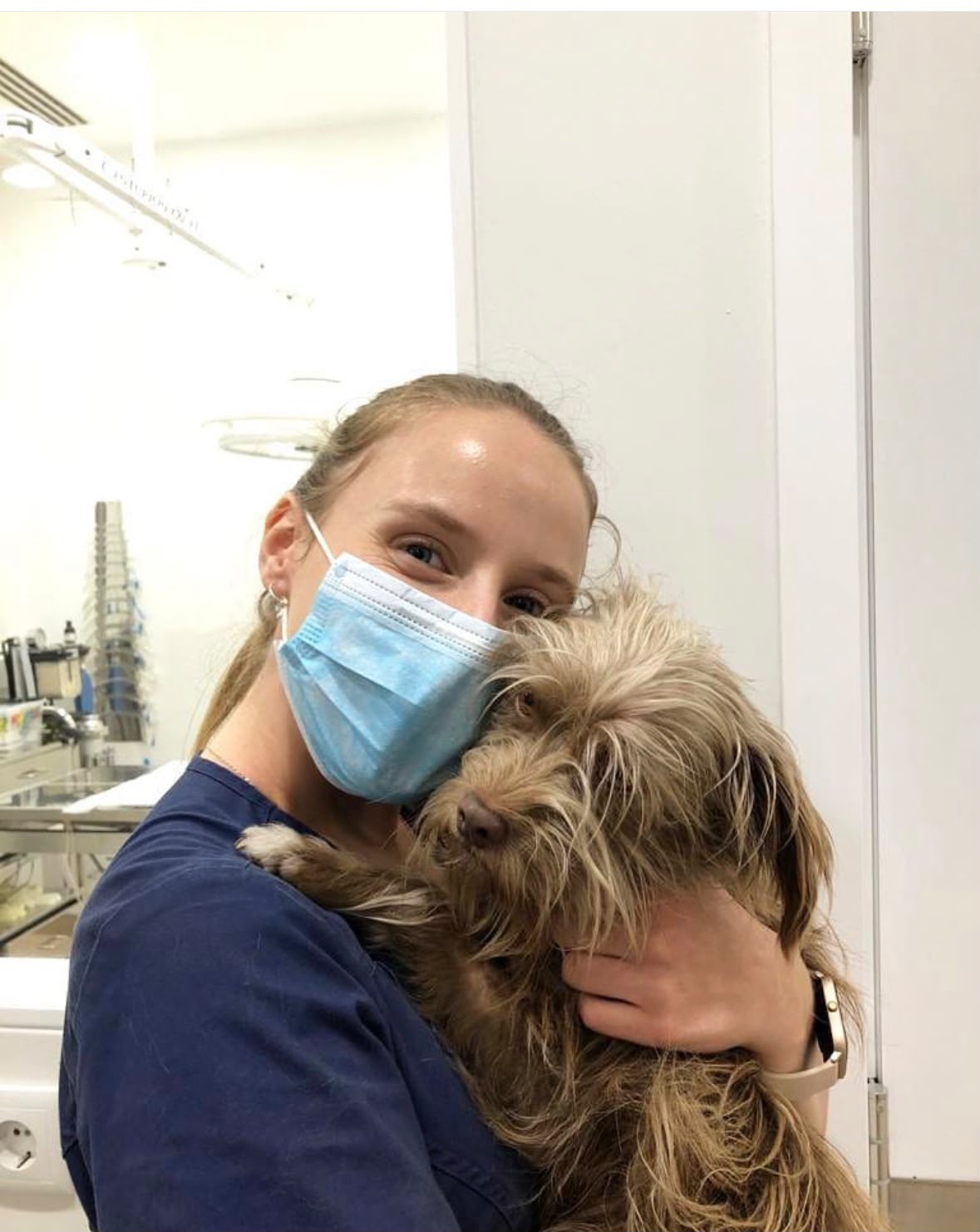 Veterinária da clínica a cuidar de um cão